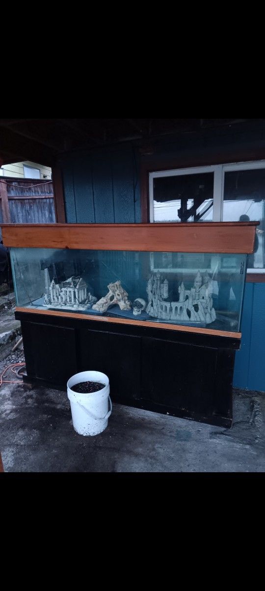 125 Gallon Glass Fishtank