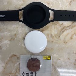 Apple AirTag With WristBand