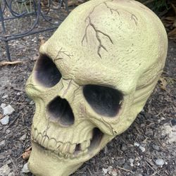 Halloween Skull