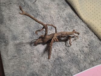 Aquarium drift wood