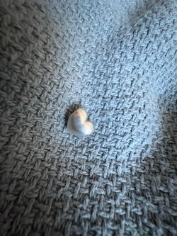 Pandora charm