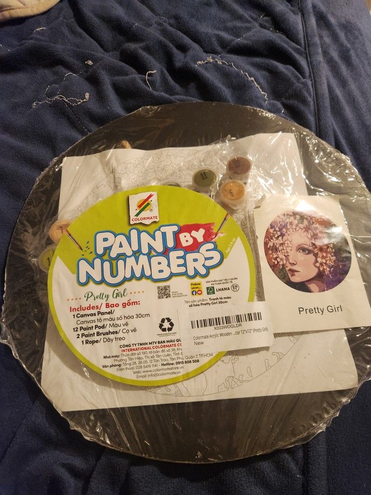 Colormate Acrylic Wooden Paint by Number Kit for Adults Beginners