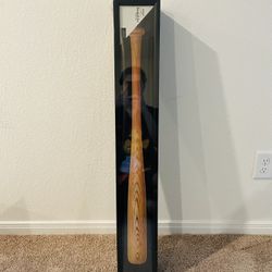 Baseball Bat Display Case