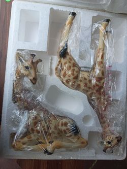 Beautiful giraffe pieces