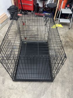 Kong Dog Kennel