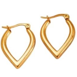 Earning Gold Plated Stainless Steel 