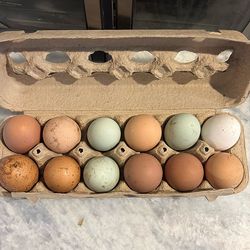 Organic Chicken & Duck Eggs- first come, first serve!!