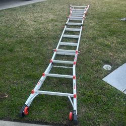 Little Giant Ladder 