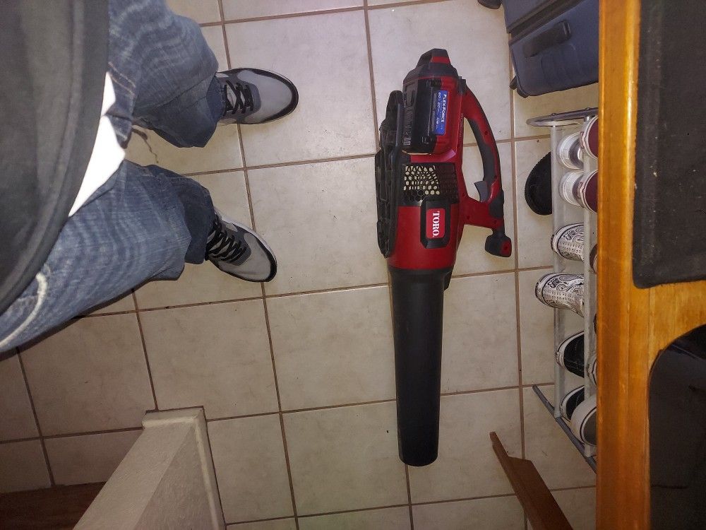 Toro Flex Force 60v Brushless Leaf Blower