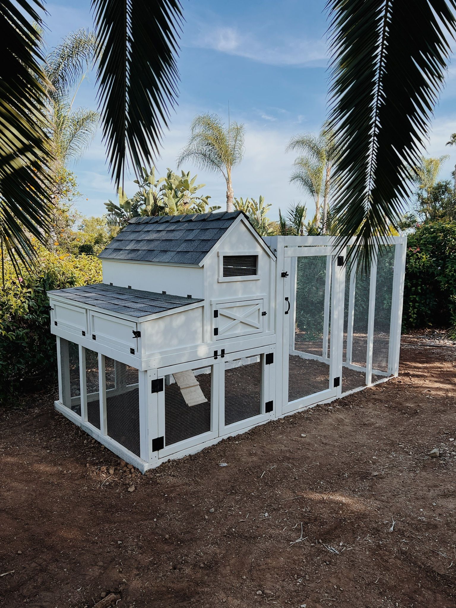 XXL Walk In Chicken Coop