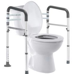 New toilet safety rail