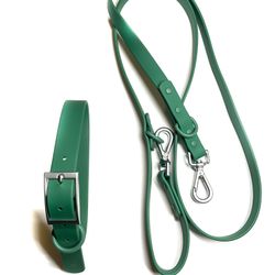 Wild One Collar And Leash Set 