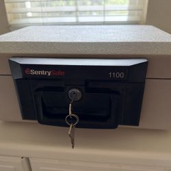 Sentry Safe FIRE box 