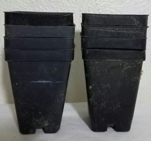 Black and Red Flower Pots 2.5" to 10"