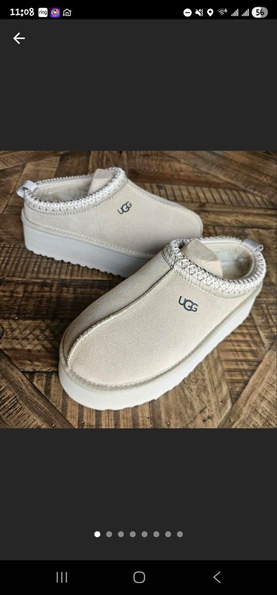 UGG Tazz Mustard Seed NIB
