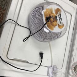 Chick Hatching Stuff 