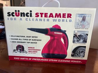 Portable steam cleaner