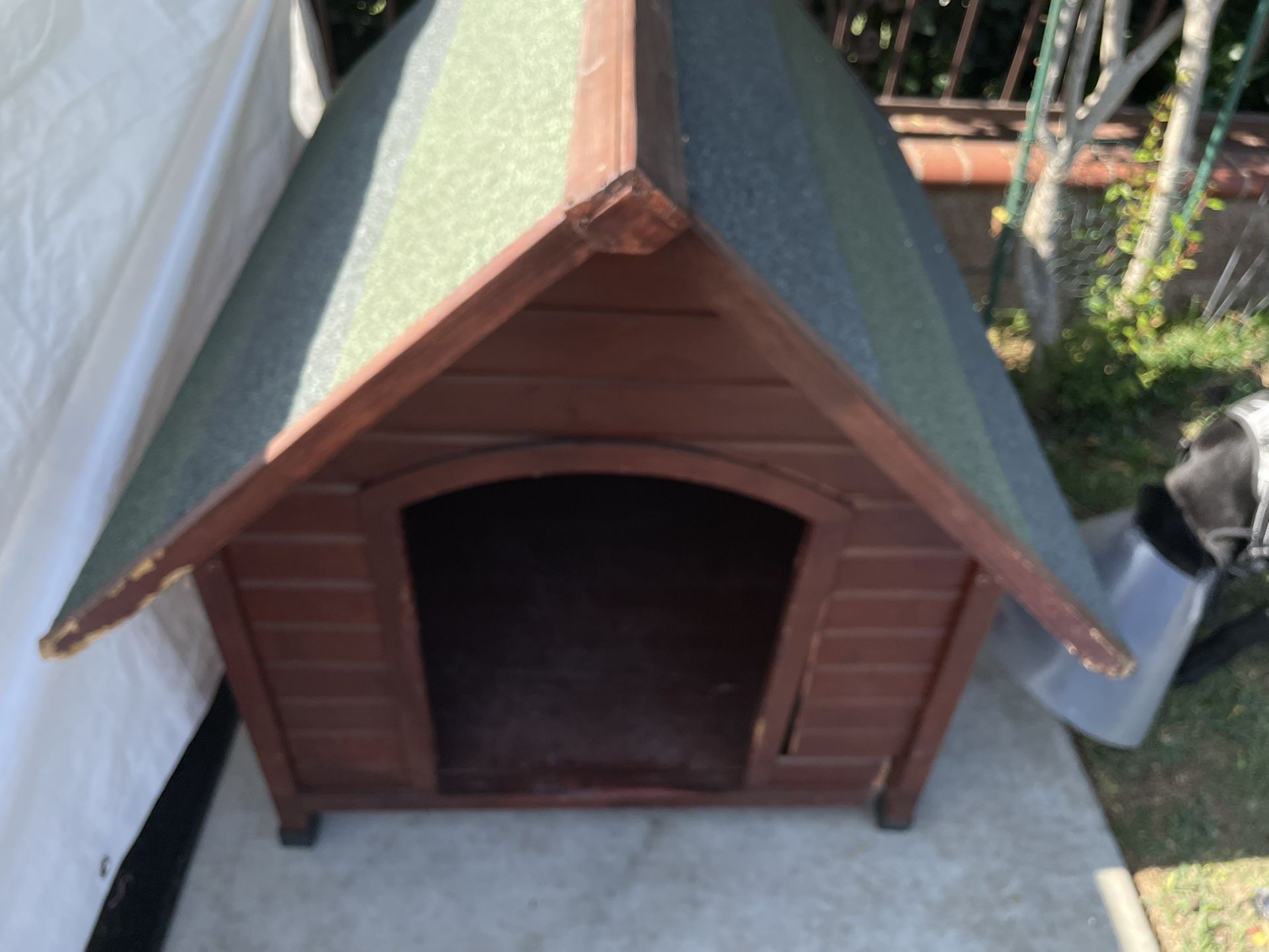 Dog House