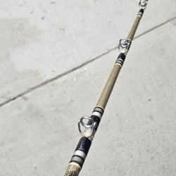 Diawa Sealine Sl22 Graphite Fishing Rod 15-30lb