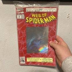 Web Of The Amazing Spiderman