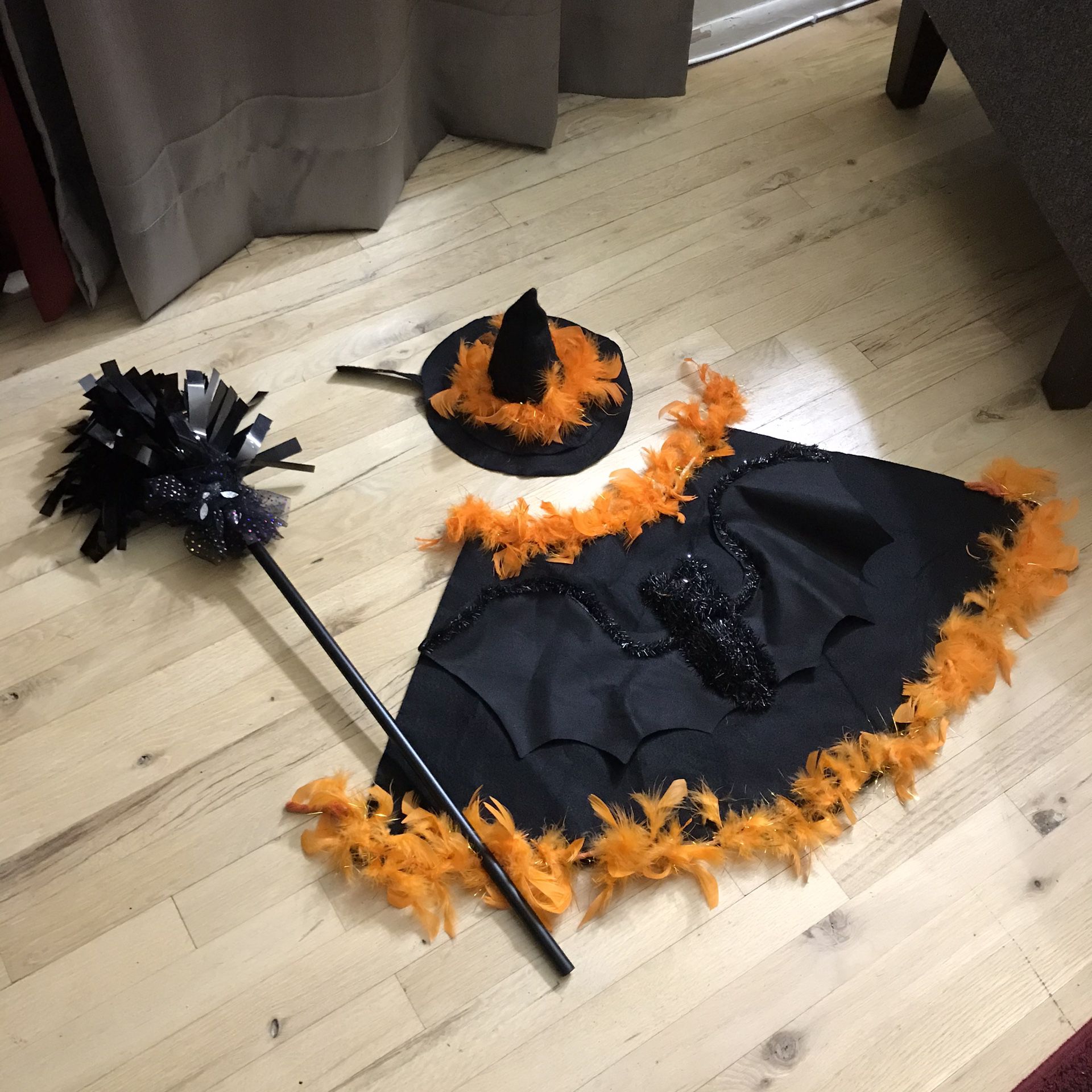 Halloween costume (Witch)