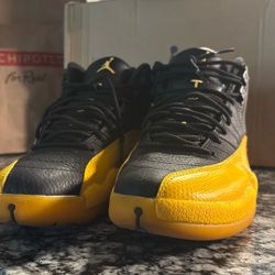 Jordan 12s