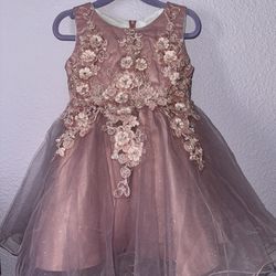 Rose Pearl Beaded Baby Girl Dress