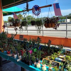 7/03/21 This Weekend Selection At Jason's Local Garden Located In New River Grove In Davie 