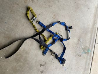 Safety harness