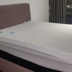 Queen Bed Frame And Box Spring And Mattres 