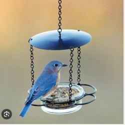 Mosaic Birds Clear Floral Hanging Bird Feeder – M446-200