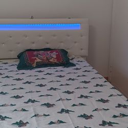 Queen Size Bed with Lights Adjustable Headboard, 4 Storage Drawers with 10-inch memory foam mattress