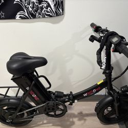 Windone 500W E-Bike Adults 22MPH 50Mi PAS 48V/13Ah Removable Battery 16"Fat Tire