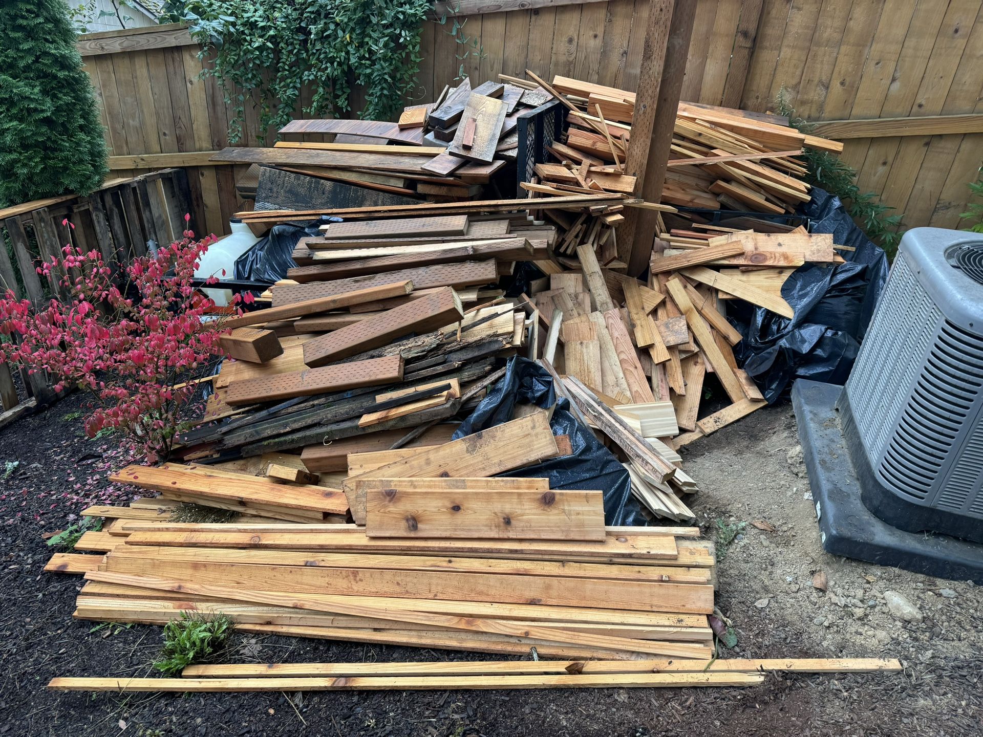 FREE Cedar for Fire wood or craft