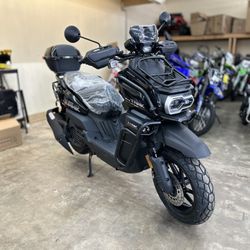 Vitacci tank Pro 2025