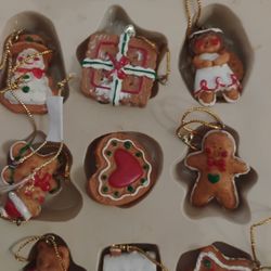 Precious Ornaments 💐