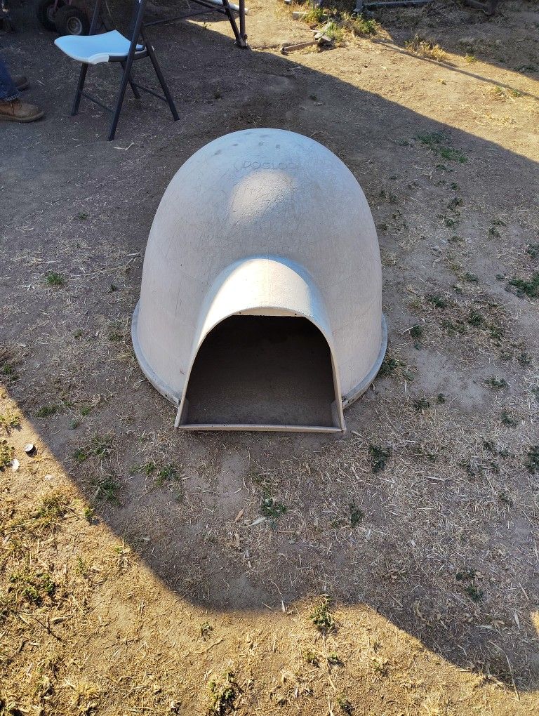 dogloo igloo