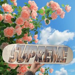 Supreme Gotham Skateboard Deck | FW23 | Brand New Sealed 