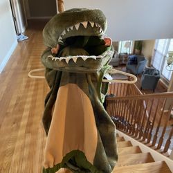 Toddler Dinosaur Costume 