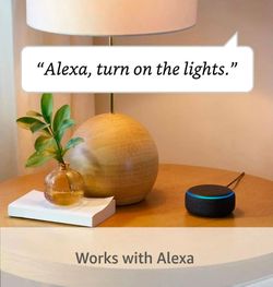 Ring Solar Step lights