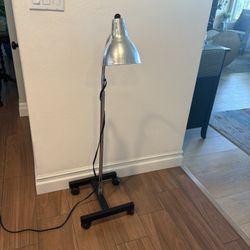 Gooseneck Exam Lamp With Mobil Base 