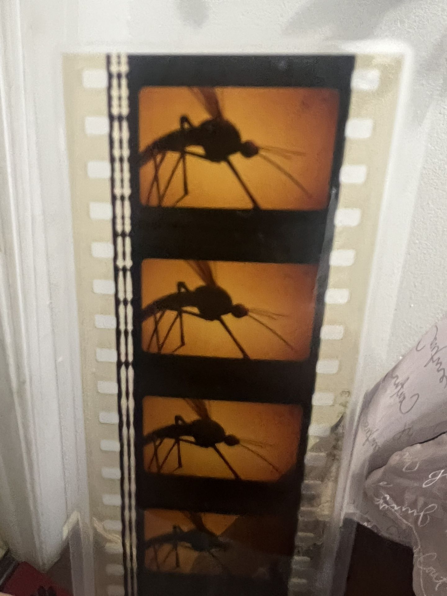 Selling 2 Film Cells