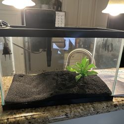 10 Gallon Fish Tank Brand New