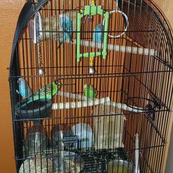 Cage And Birds