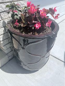 2 vase heavy
