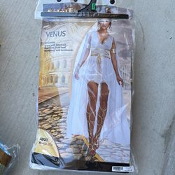 Halloween Costume 