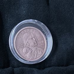 Dollar Coin 