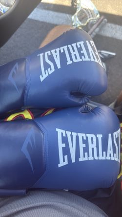 Everlast boxing gloves