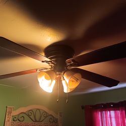 Hampton Bay Ceiling Fan