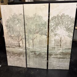 Canvas Frames 